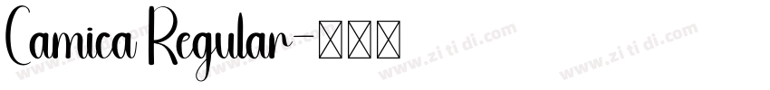 Camica Regular字体转换